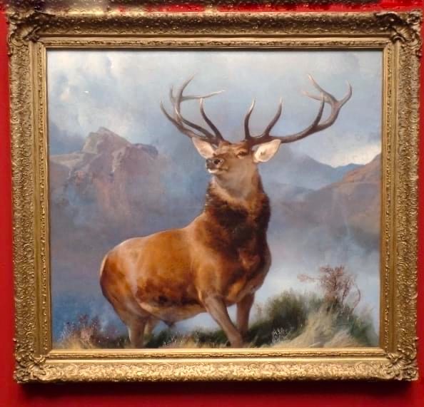 Majestic stag
