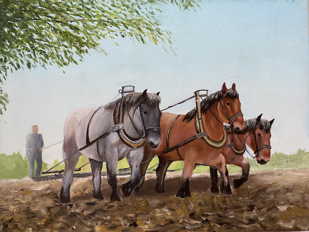 Ploughing the fields
