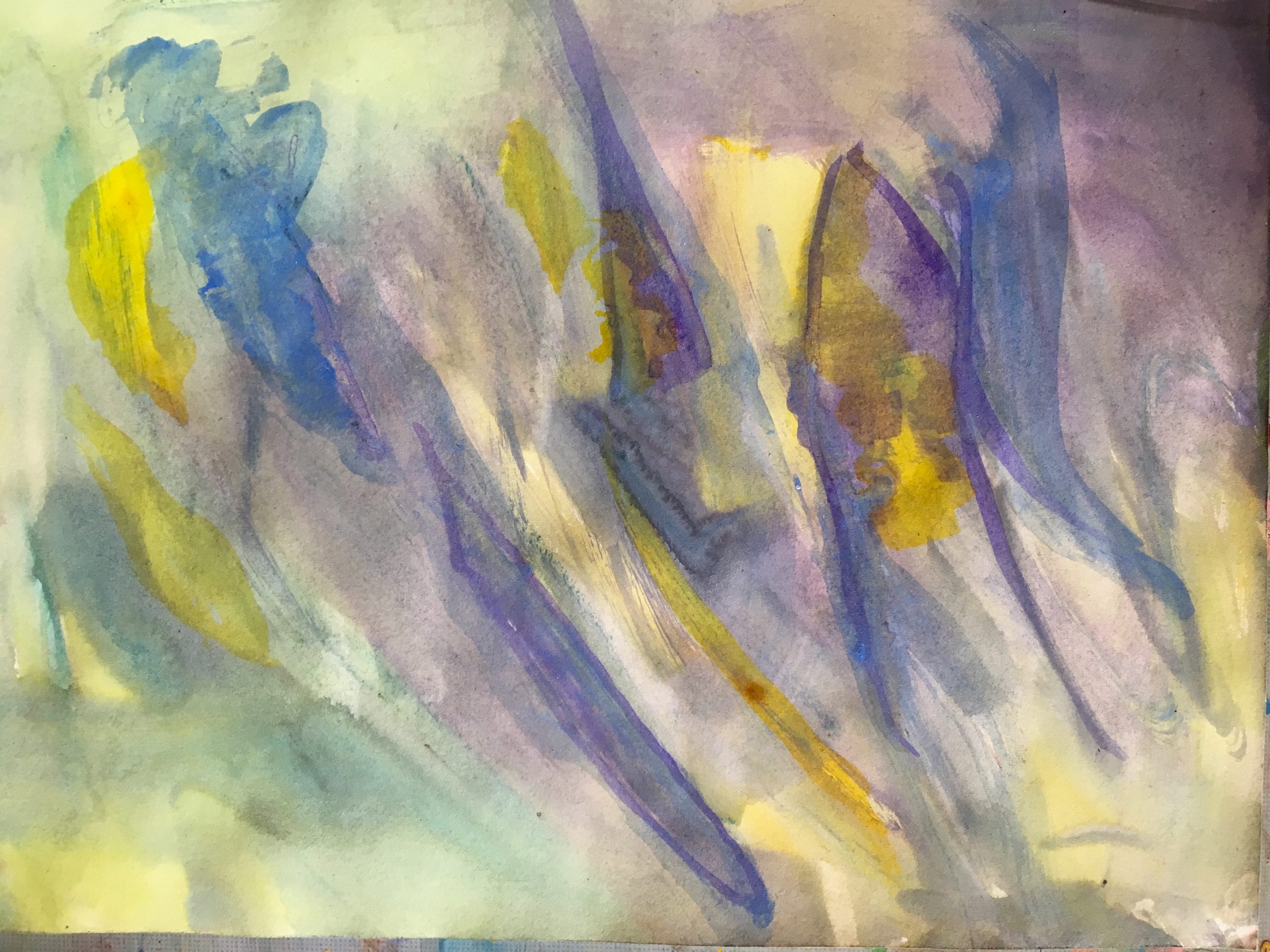 Symphony of dutch irises