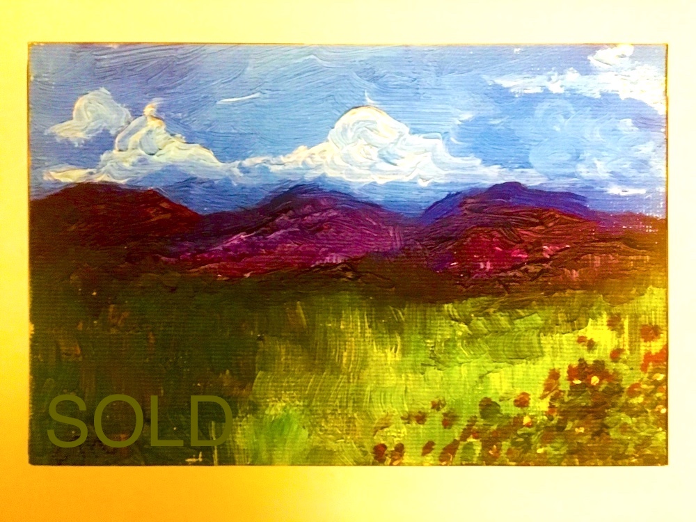 Wild poppies wild mountains